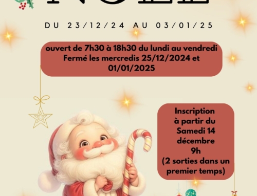 Programme Vacances de Noël 2024 – ALSH