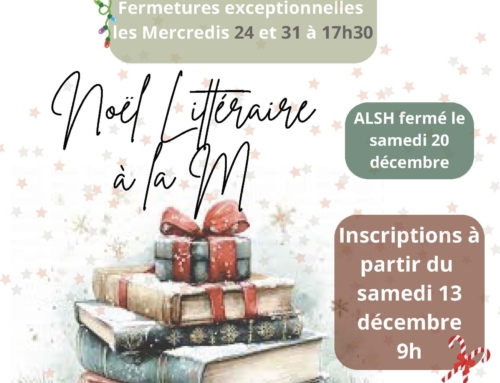 Programme Vacances de Noël 2025 – ALSH