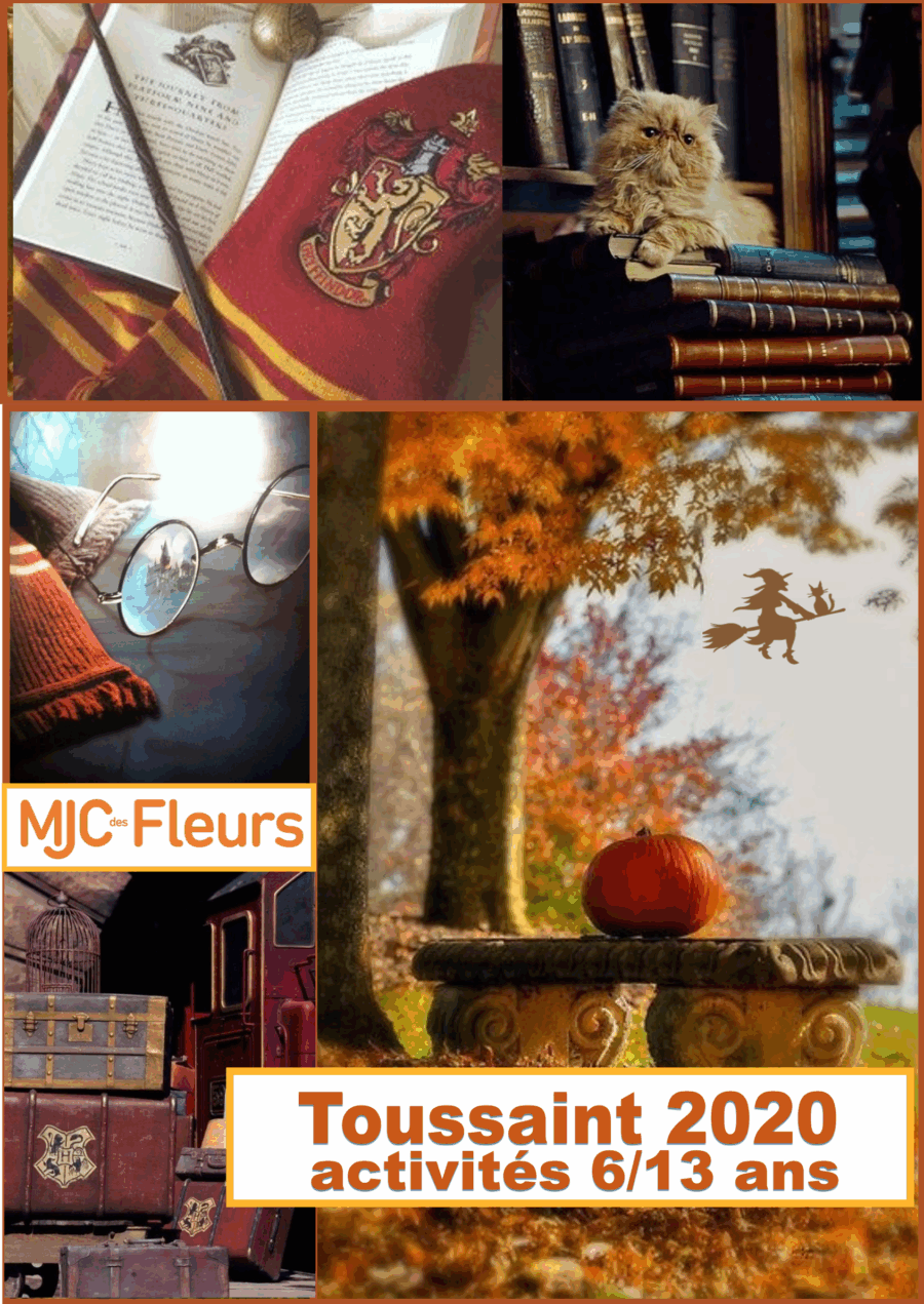 Programme ALSH Toussaint 2020
